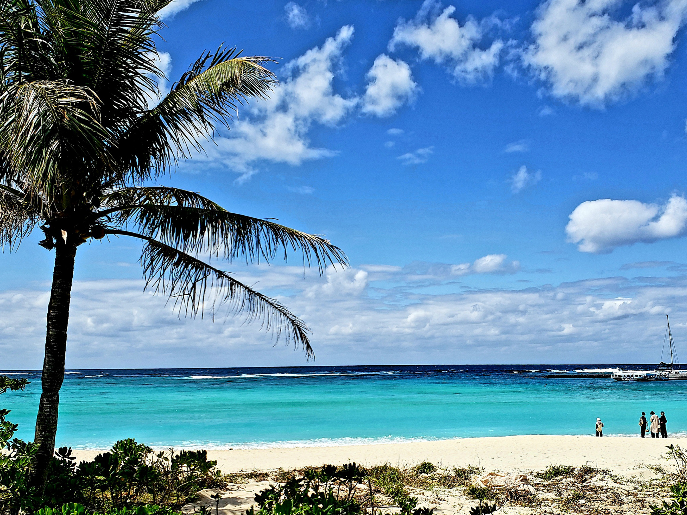 現場での作業風景2